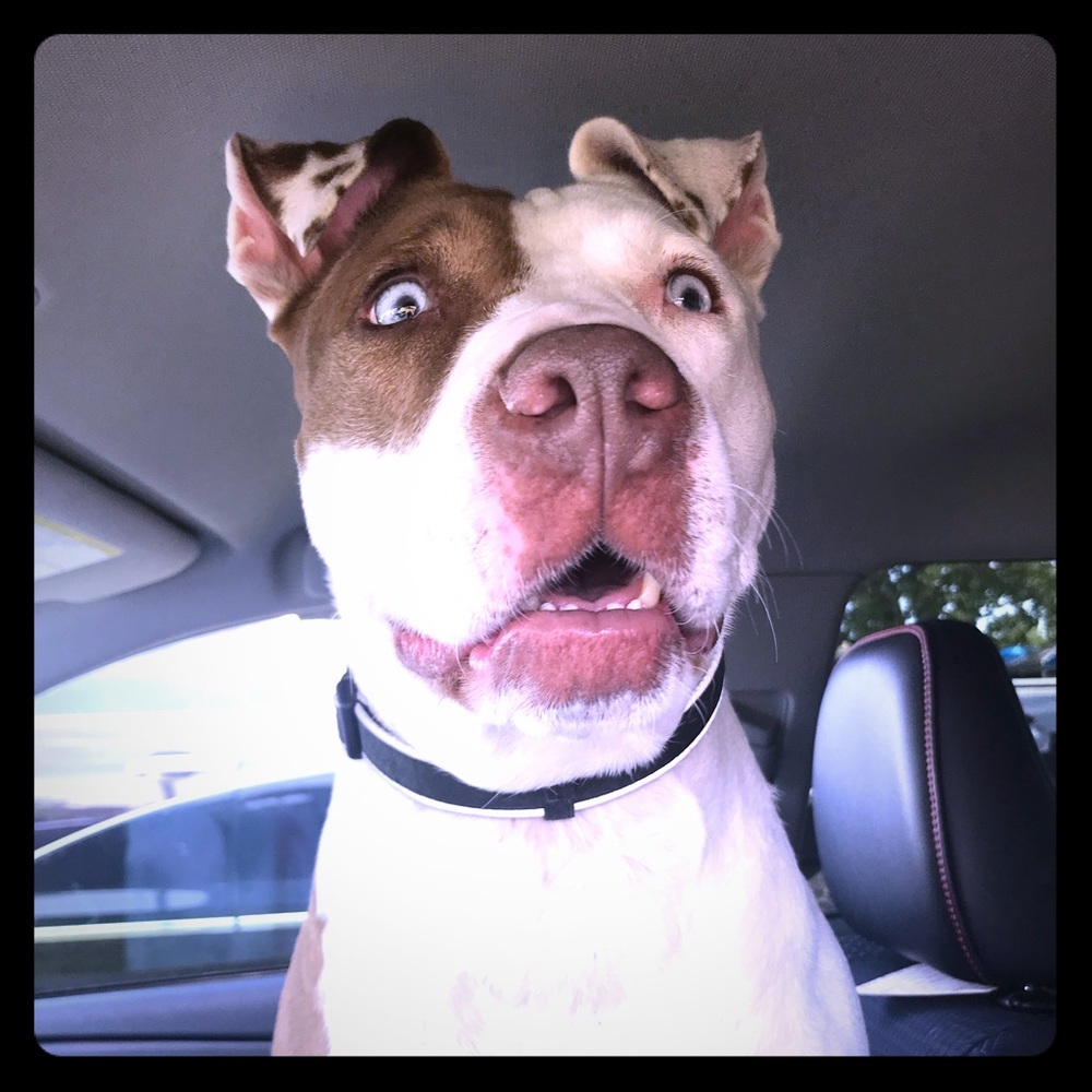 Did u say good deals? See my page for more!